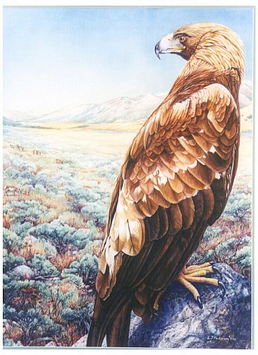 Golden Opportunity - Golden Eagle by Linda Parkinson